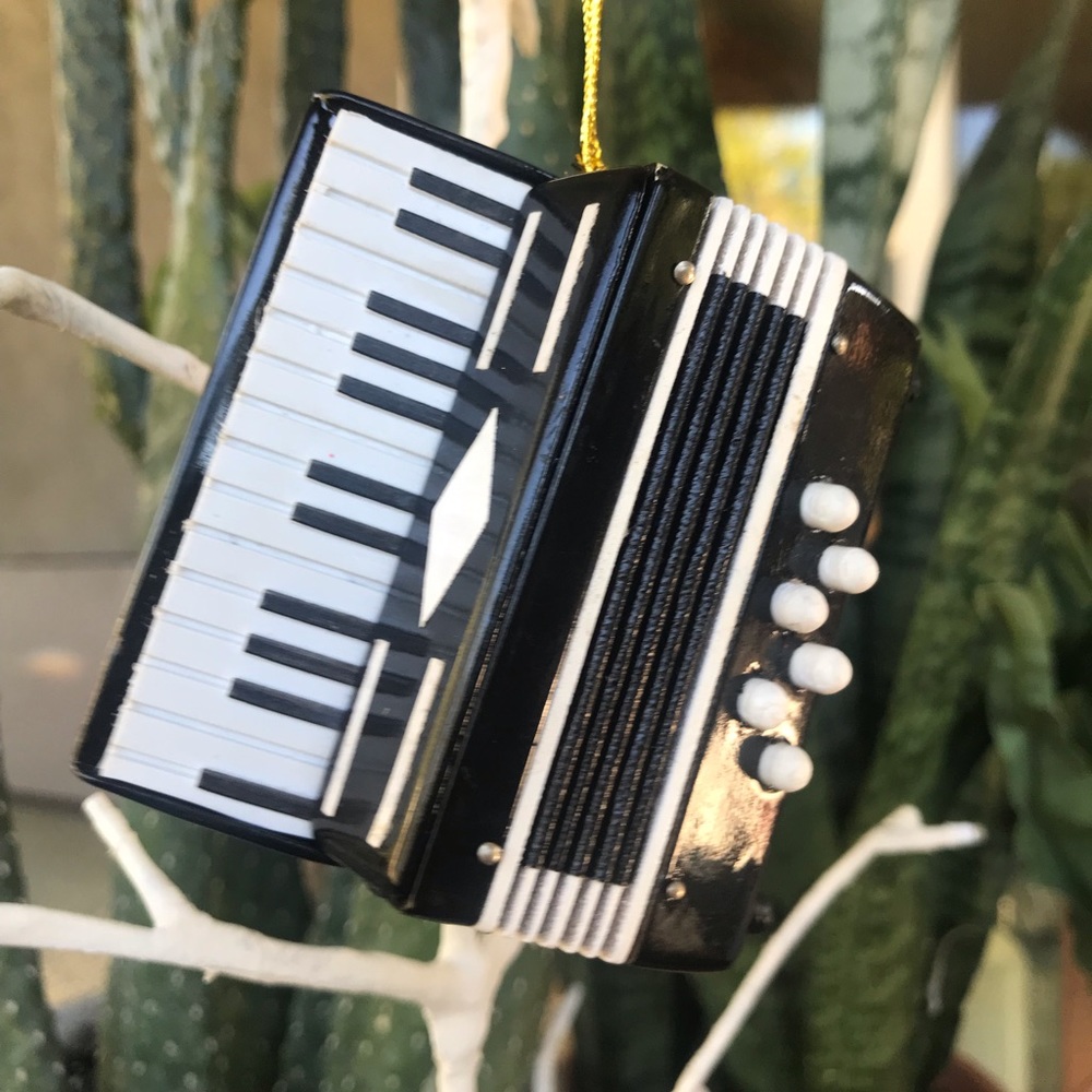 Black accordion ornament